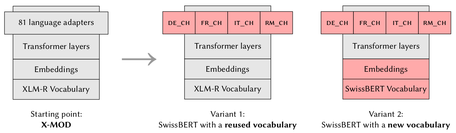 We train two variants of SwissBERT: Variant 1 reuses the vocabulary and embeddings of the pre-trained model, and
only language adapters are trained. Variant 2 uses a custom SwissBERT vocabulary based on our pre-training corpus, and
multilingual embeddings are trained in addition to the adapters.
