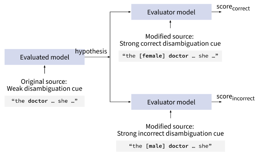 Illustration of Contrastive Conditioning on the example of WinoMT